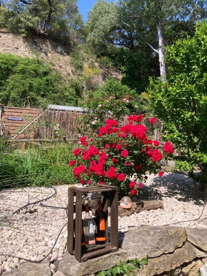 Le Mas Aux Aromes Puget Exterior foto